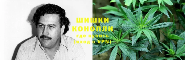 молекула духа Алзамай