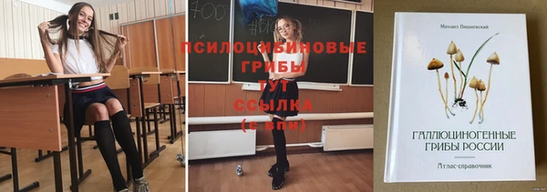 герыч Алексеевка