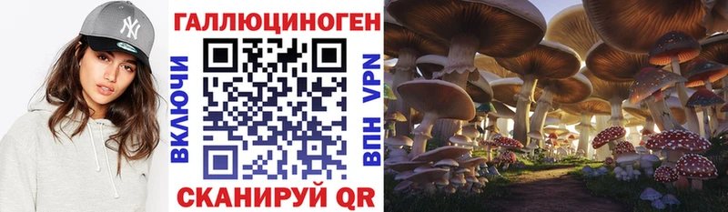 Псилоцибиновые грибы ЛСД  Лесной 